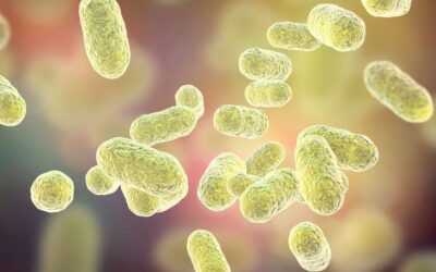 What is the human microbiome?