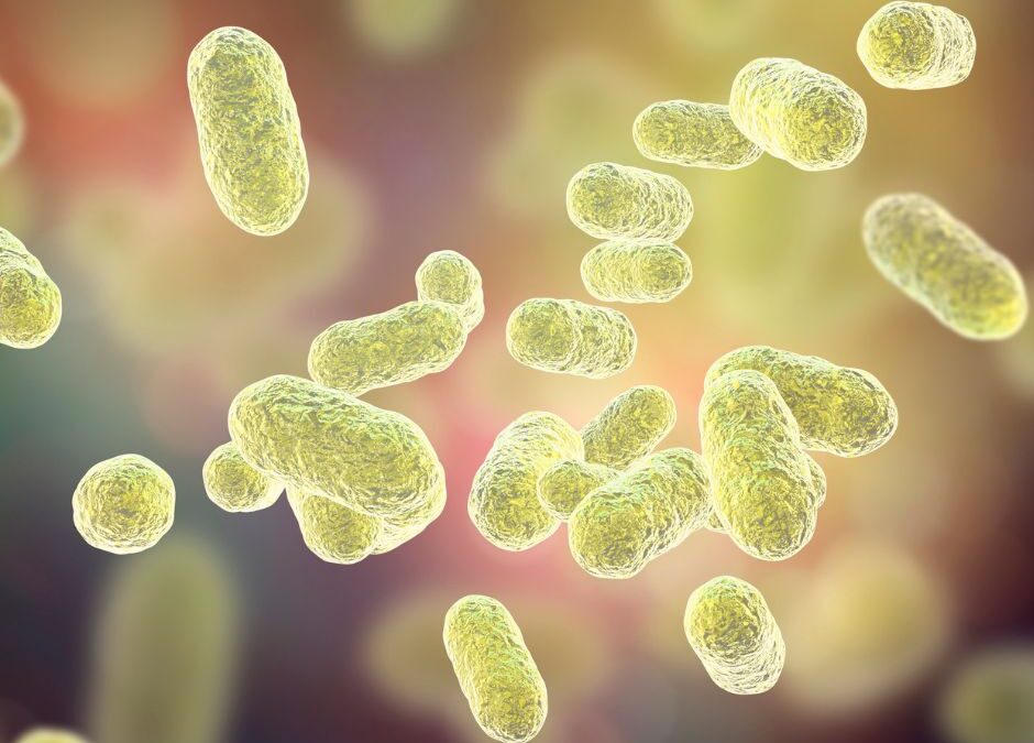 What is the human microbiome?